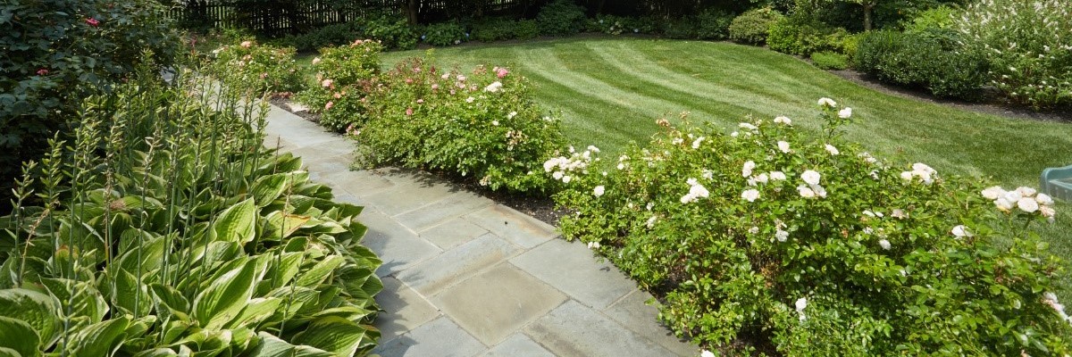 luscious foliage and walkway in yard